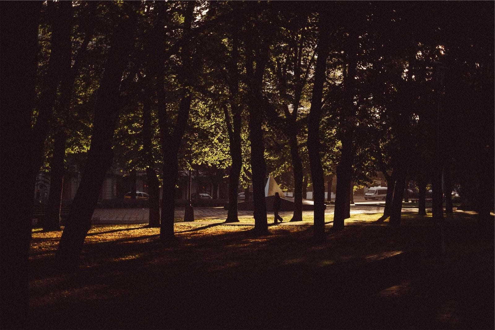 Fotografía de muestra 6